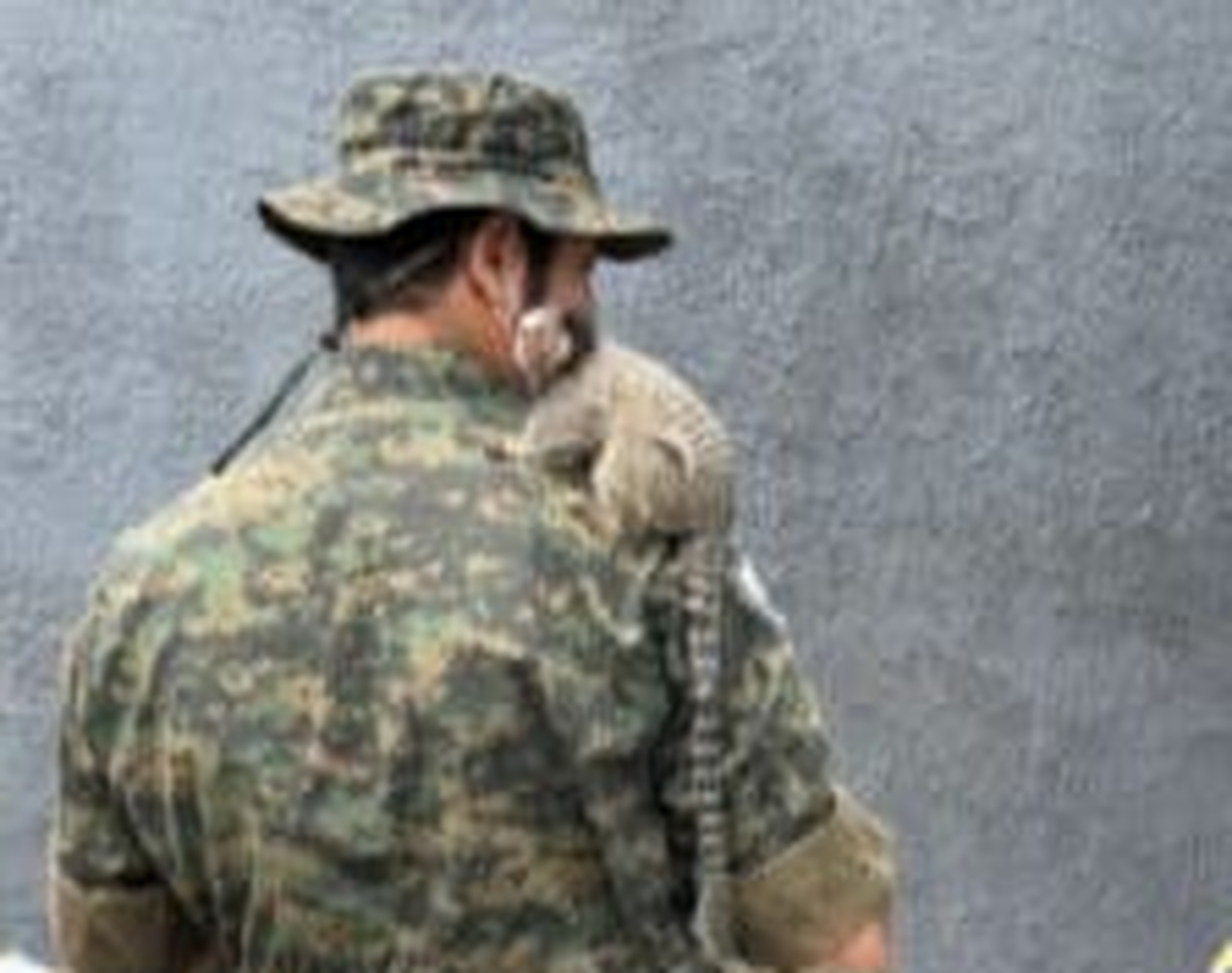 Saguis Resgatados em Área Urbana de Palmas Recebem Cuidados para Retorno à Natureza