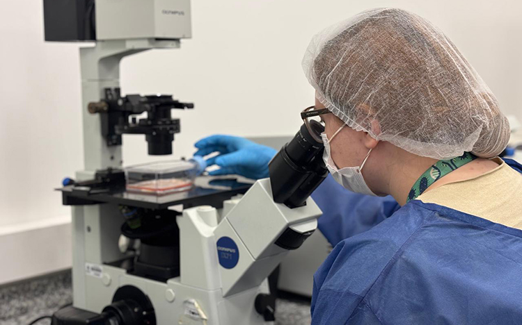 Descoberta promissora em Florianópolis: Óleo de orégano nanoencapsulado da UFSC combate vírus da diarreia