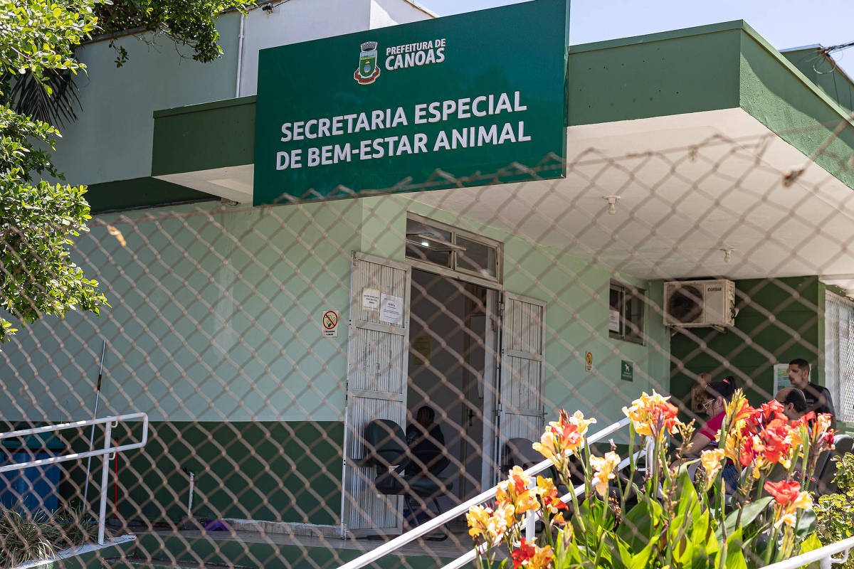 Polícia investiga suposta eutanásia em massa de cães em Canoas
