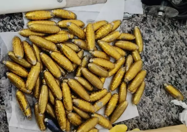 Tragédia na MS-040: Boliviana Morre em Ônibus Após Rompimento de Cápsula de Cocaína no Estômago