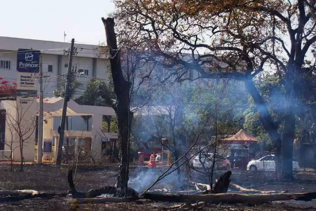 Incêndios Persistem Há Três Décadas Próximo a Hospitais em Campo Grande, Aflige Moradores e Pacientes