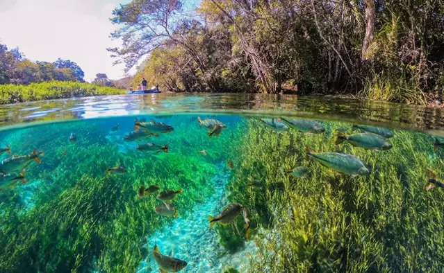 Turismo em MS: O Que Atrai Mais Visitantes e Impulsiona Crescimento Recorde?