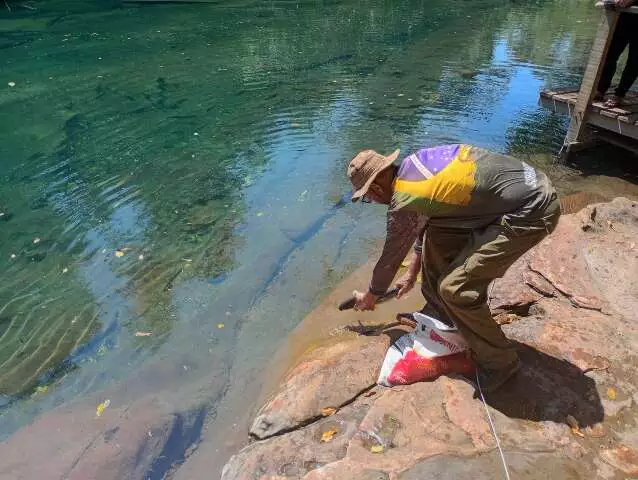 Seca Persistente no Rio da Prata Força Resgate de Peixes Pelo Segundo Ano Consecutivo