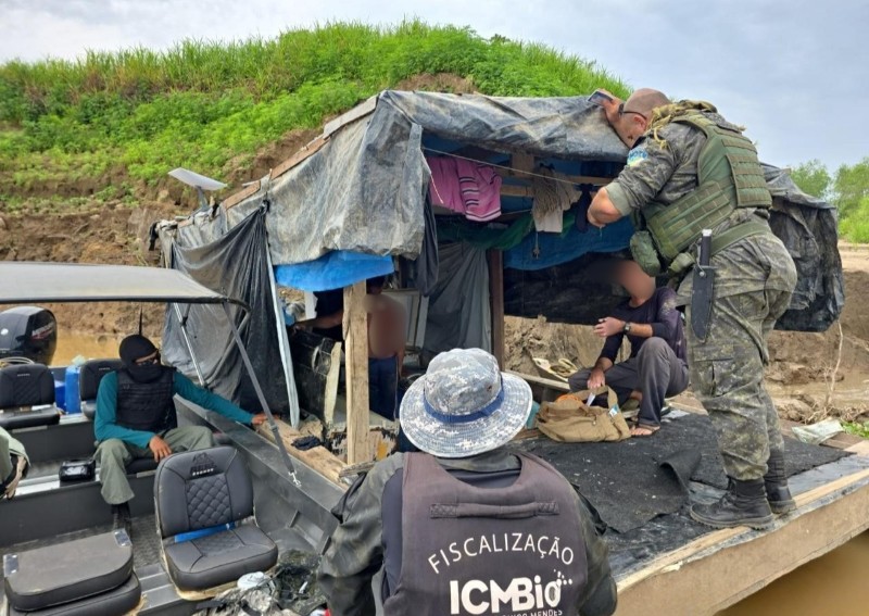 Operação Dominância Sufoca Crimes Ambientais em Rondônia: Apreensões e Proteção da Biodiversidade em Destaque