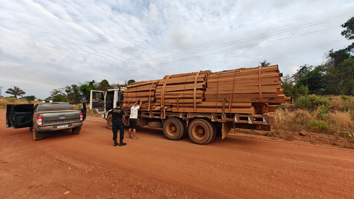 PF Desmantela Esquema de Extração Ilegal de Madeira em Terra Indígena Roosevelt na Operação ‘Traidores Originários’