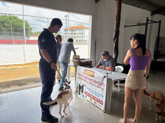 Porto Velho Inova: Agendamento Online Facilita Vacinação Domiciliar de Pets