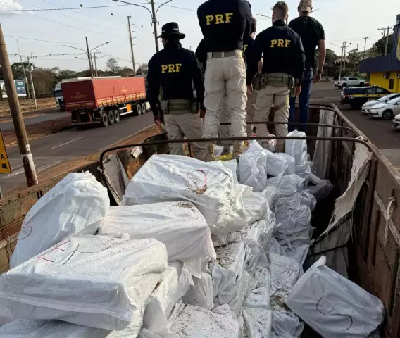 Flagrante na MS-164: PRF apreende mais de 7 toneladas de maconha e prende motorista