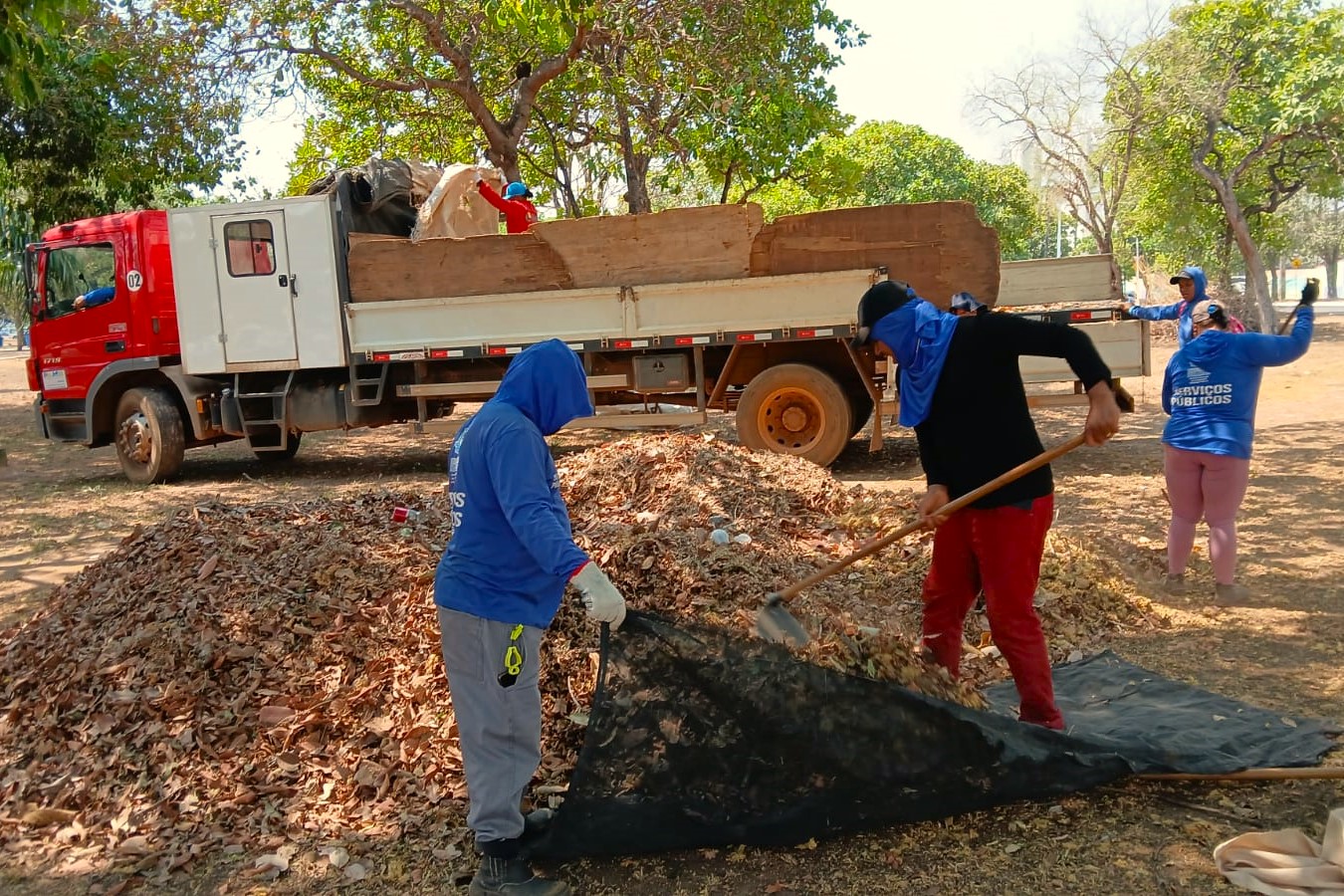 Palmas Revitaliza Praça do Bosque com Mutirão de Limpeza: Meia Tonelada de Folhas Removidas