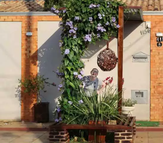 Oasis Urbano: Pergolado Florido Transforma Calçada em Refúgio Comunitário em Campo Grande