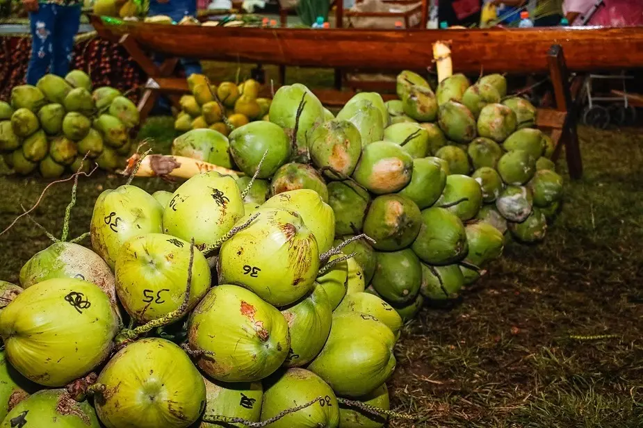Festival do Coco em Mâncio Lima Coroa Produtores com Cacho Recorde e Coco Gigante