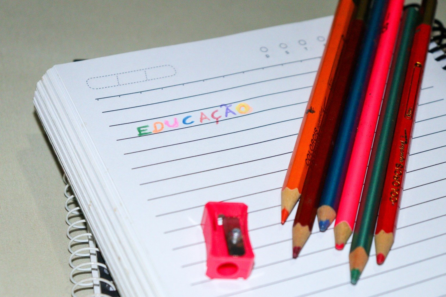 Educação: A Plaina que Aprimora a Sociedade ou o Espelho de Nossos Absurdos?