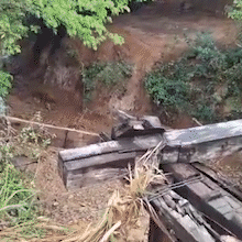 Rio da Prata Sofre Nova Seca e Cardume Fica Isolado, Relembrando Crise Hídrica Anterior