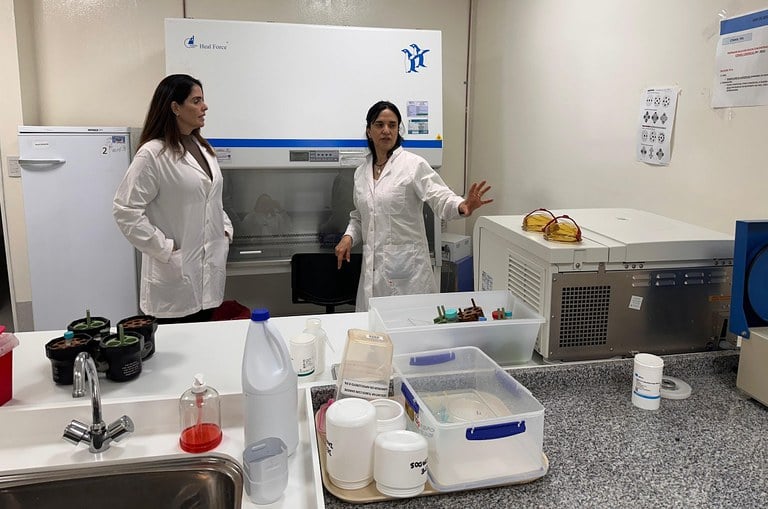 Roraima e Argentina unem forças na pesquisa contra doenças endêmicas