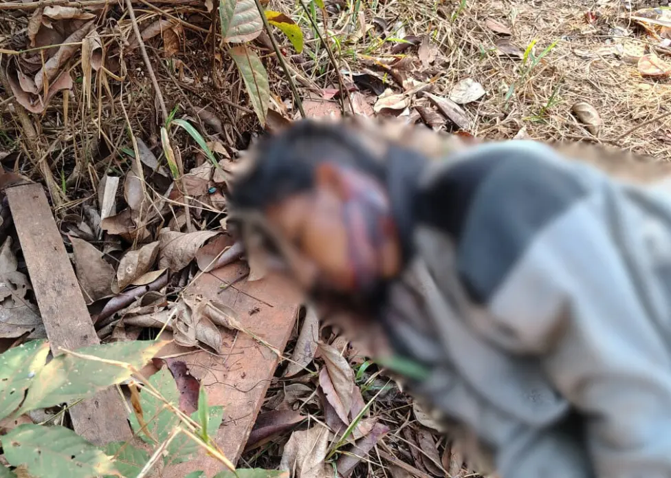 Violência na Fronteira: Homem é Executado e Corpo Abandonado na Divisa Acre-Rondônia