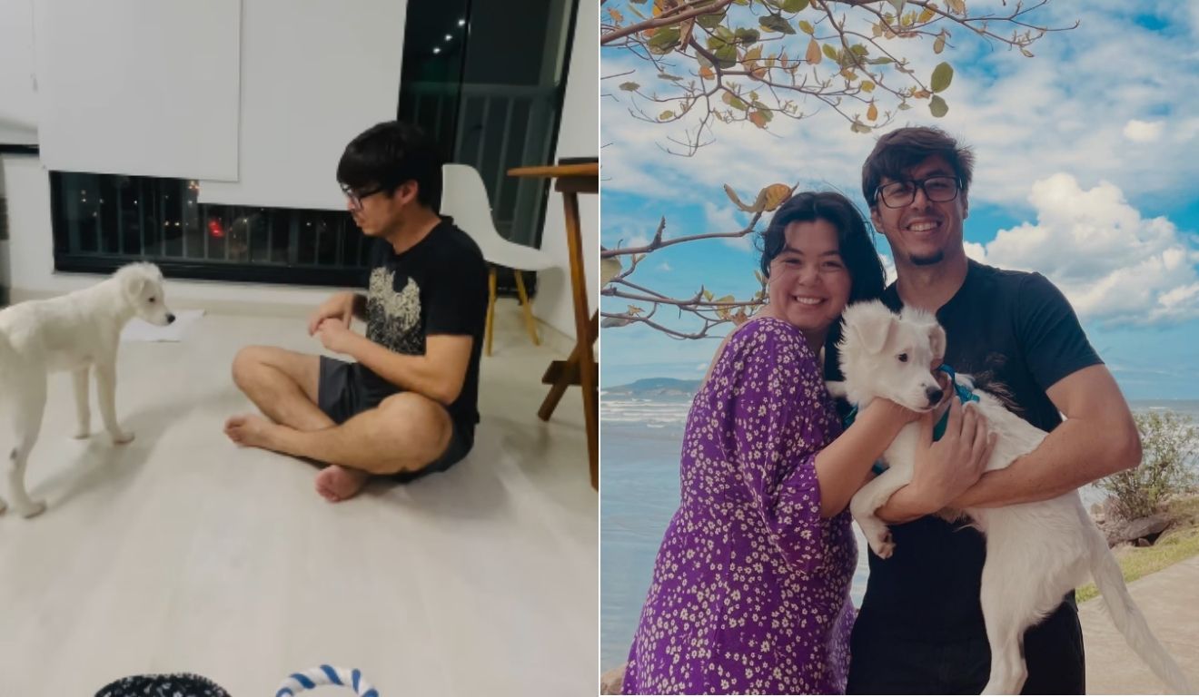 Conexão Inclusiva: Cão Surdo Encontra Lar em Família que Se Comunica em Libras