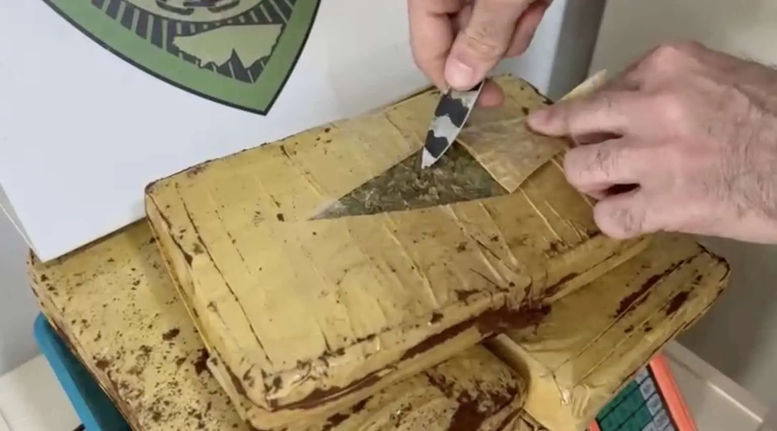 Acre: Passageiro de Táxi Flagrado com Mais de 5kg de Skunk em Operação do Gefron