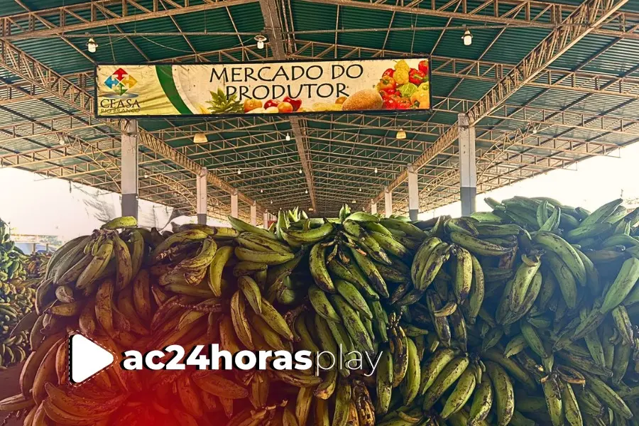 Abundância e Preços Atrativos: Banana e Melancia Lideram Oferta na Ceasa