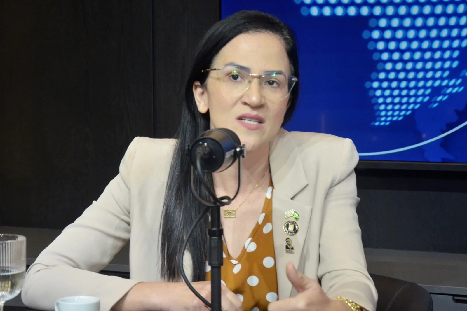 Camila Araújo aposta em chapa ‘imbatível’ Tarcísio-Rogério Marinho para 2026
