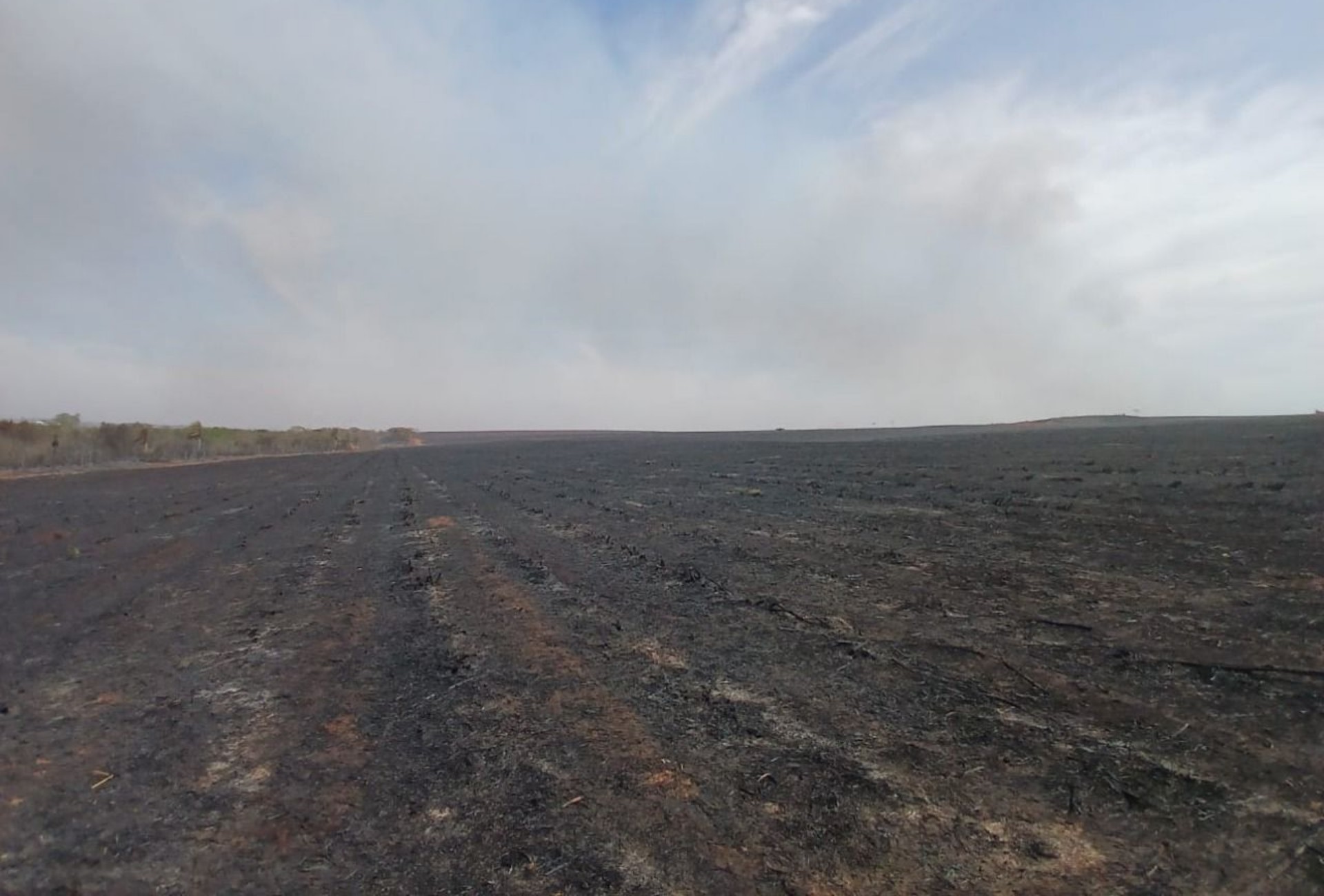 Incêndio em fazenda de MS gera multa de quase R$ 5 milhões