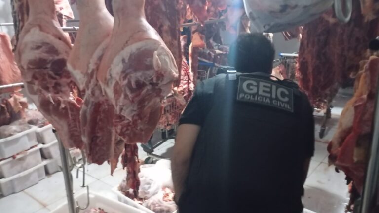 Dono de açougue irregular preso por vender carne furtada