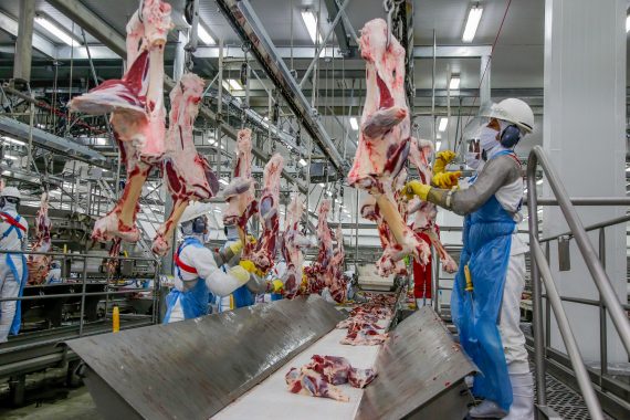 Exportações de Rondônia Sofrem Queda Drástica: Recuo de 55% Acende Sinal de Alerta