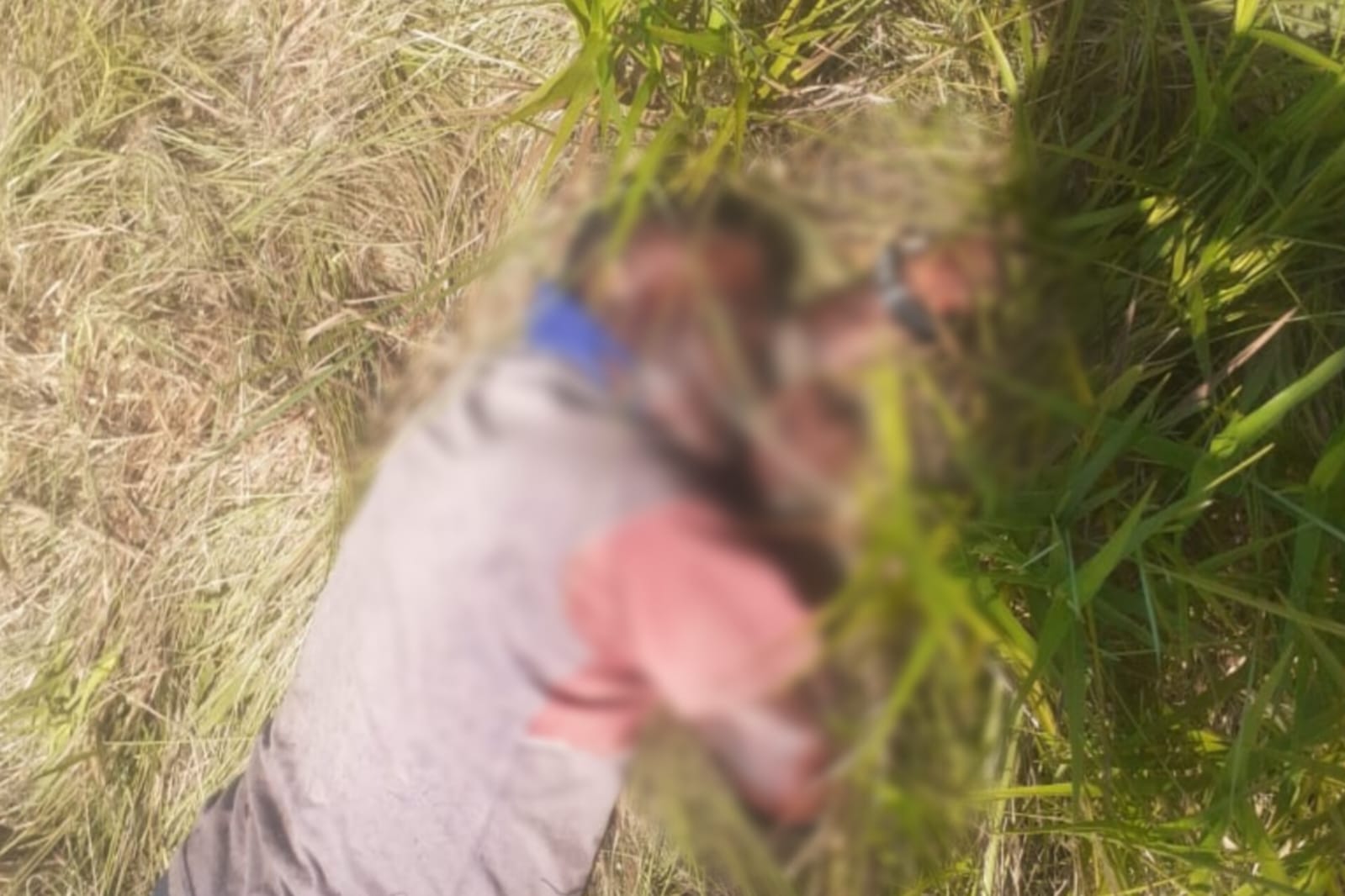 Corpo em Decomposição é Encontrado por Brigadistas do Ibama em Amapá