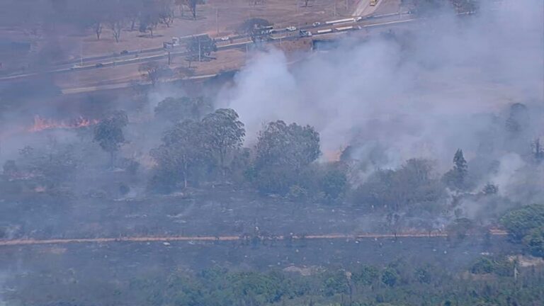 Incêndio atinge vegetação próxima ao aeroporto de Brasília