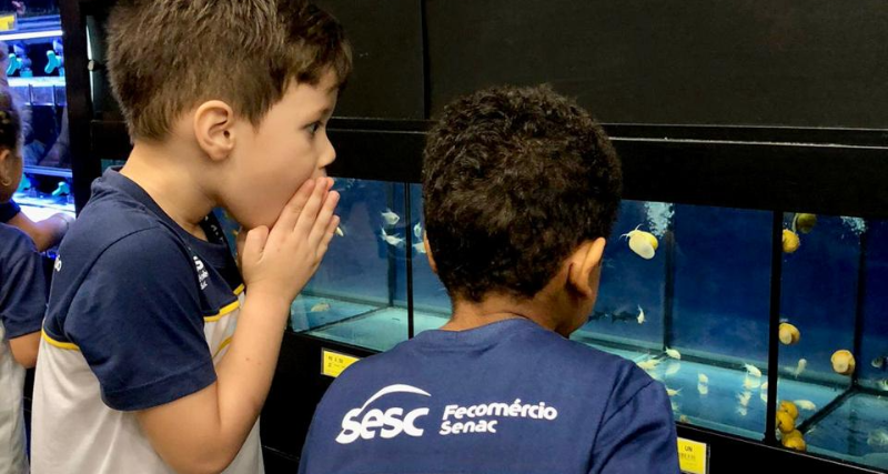 Sesc Tocantins Abre Inscrições para 2026 com Vagas Gratuitas e Bolsas de Estudo