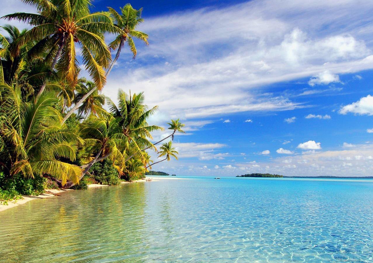 Superando o Preconceito: Educação como Pilar para a Igualdade e o Progresso