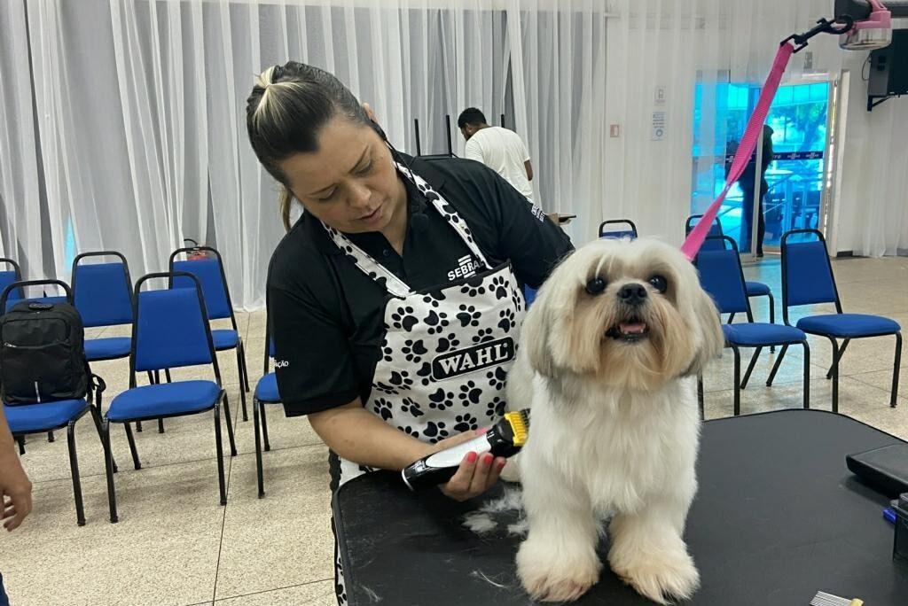 Sebrae impulsiona setor pet no Amapá com workshop sobre tendências e oportunidades