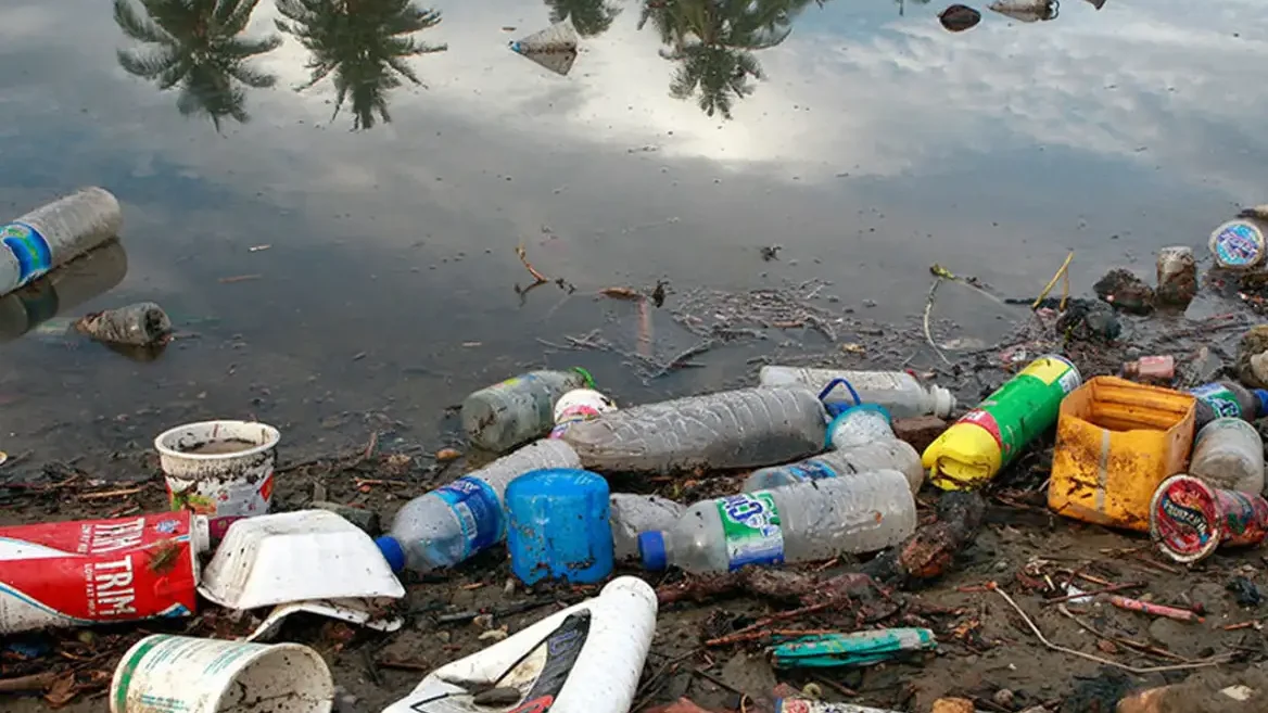 Alerta na Amazônia: Estudo da Fiocruz Revela Contaminação Alarmante por Plásticos
