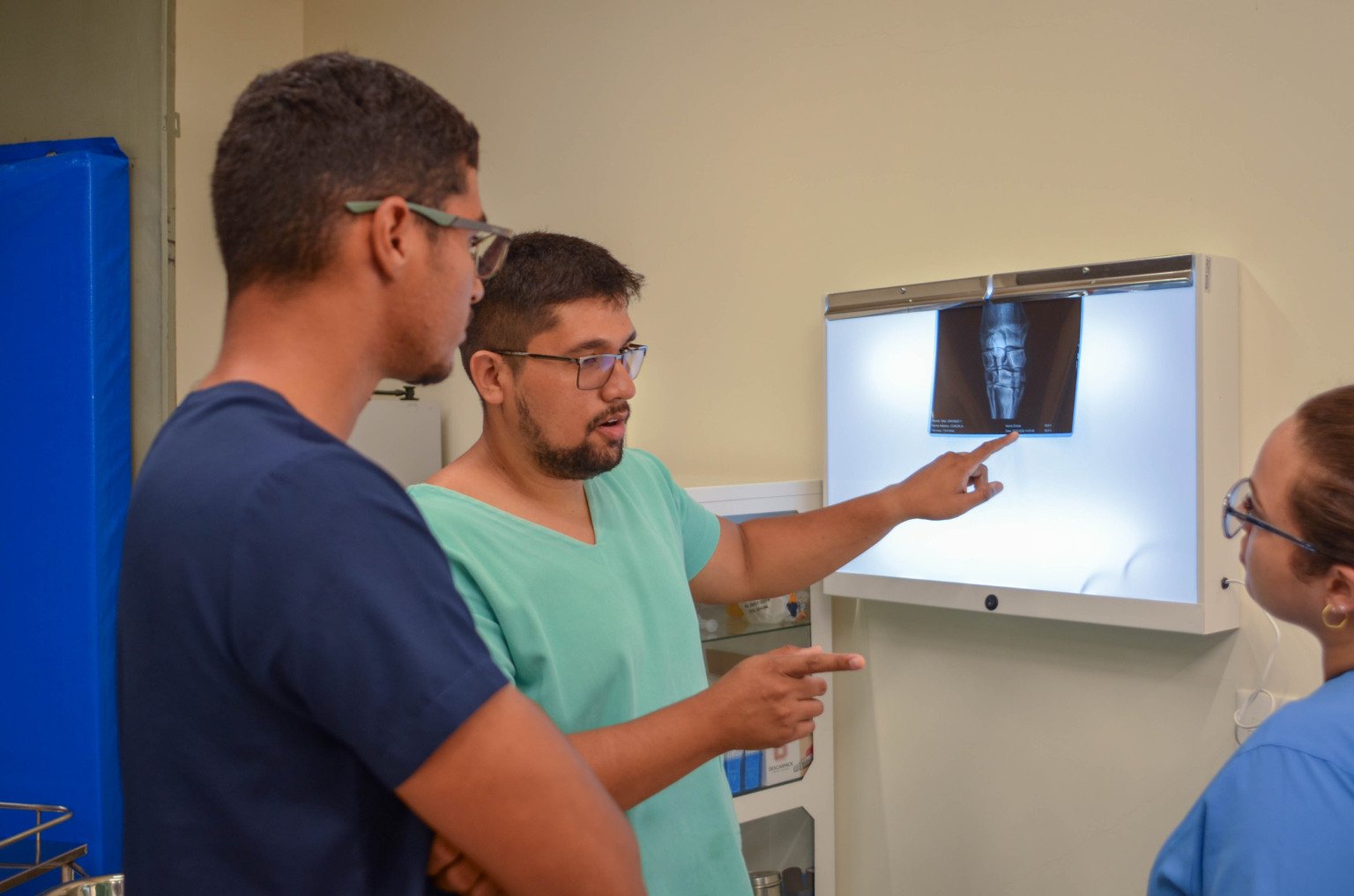 Além dos Pets: Medicina Veterinária Essencial na Saúde Pública e Ambiental