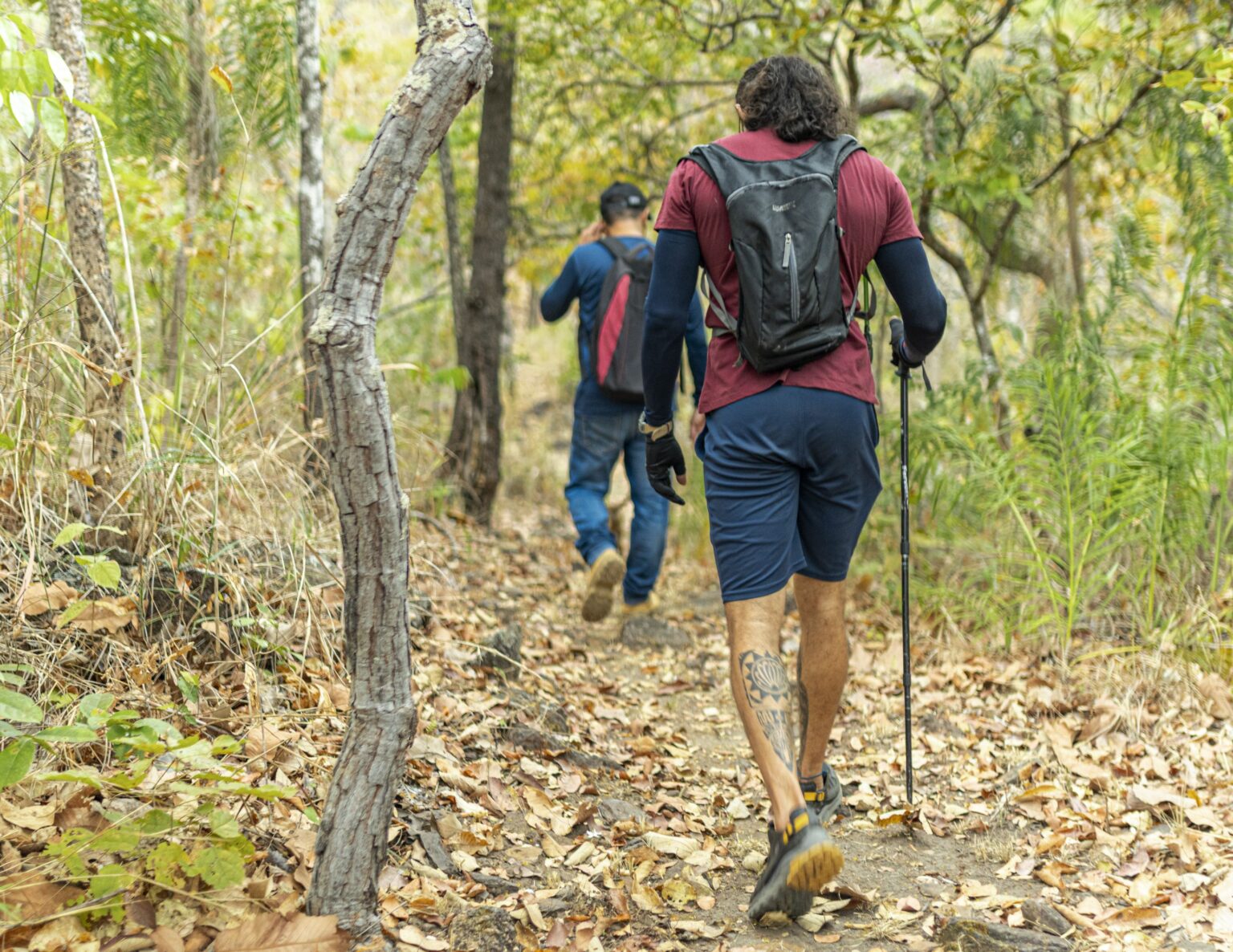 Cadastur impulsiona o turismo em Palmas: Prefeitura reforça importância do registro para empresas e profissionais