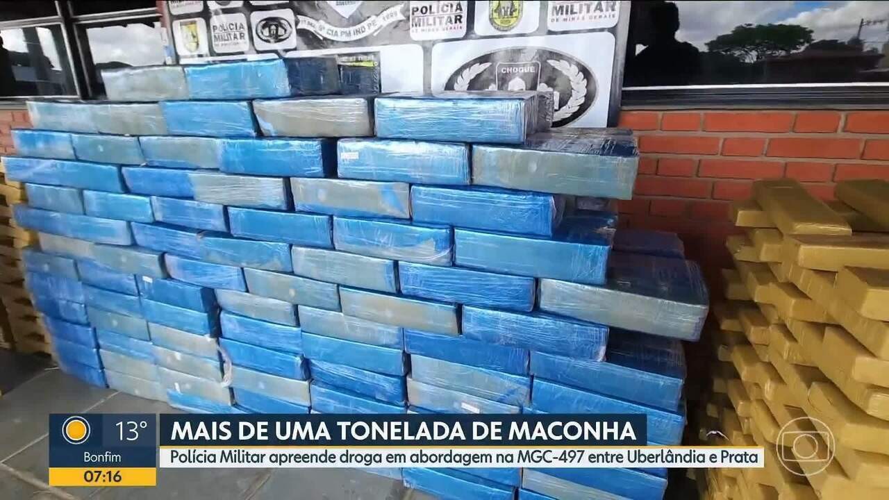 Estufa de maconha com 160 pés é descoberta em Uberlândia