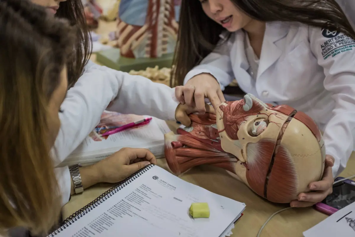 Einstein Lança Curso Inovador para Impulsionar Médicos à Residência