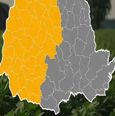 Resolução do CMN Restringe Acesso à Renegociação de Dívidas Rurais e Gera Injustiça no Campo