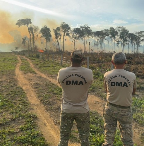 Flagrante em Rondônia: Mulher Presa por Incêndio Criminoso em Área de Floresta