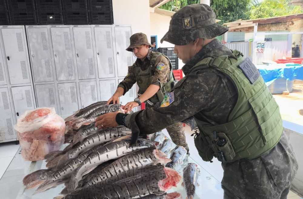 Ação Ambiental na BR-364 Resulta na Apreensão de Mais de 200 kg de Pescado; Doação Beneficia Hospital de Amor