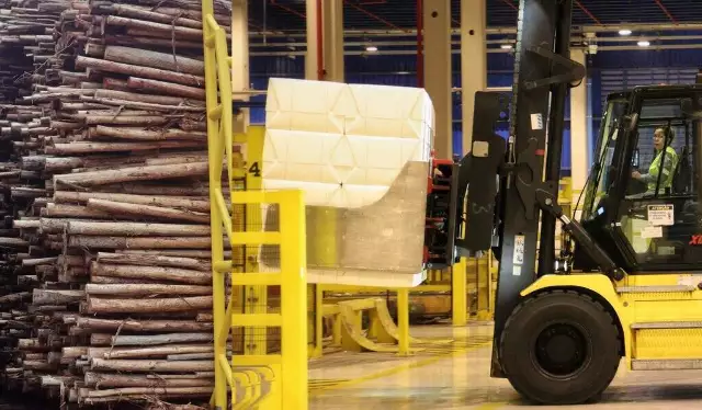 Mato Grosso do Sul Alcança Superávit Recorde de US$ 6,34 Bilhões Impulsionado pela Celulose