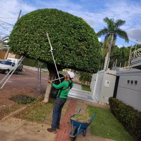 Campo Grande Abre Semana com Mais de 1.200 Vagas de Emprego em Diversas Áreas