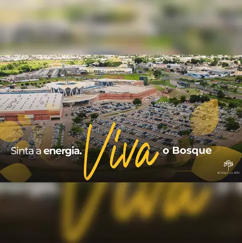 Bosque dos Ipês Promove Fim de Semana Agitado com Judô, Halloween e Festival Japonês