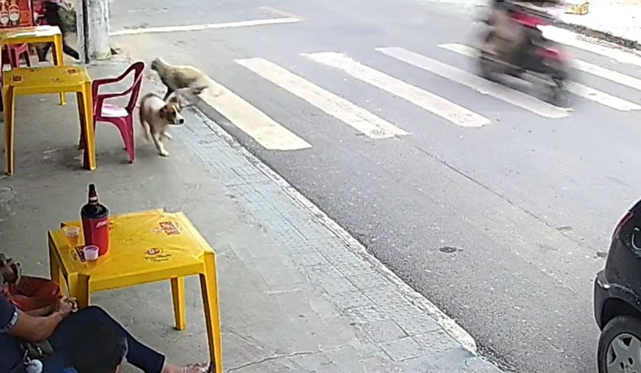 Ataque a Tiros na Serra: Câmeras Registram Pânico e Autoridades Prometem Resposta Dura