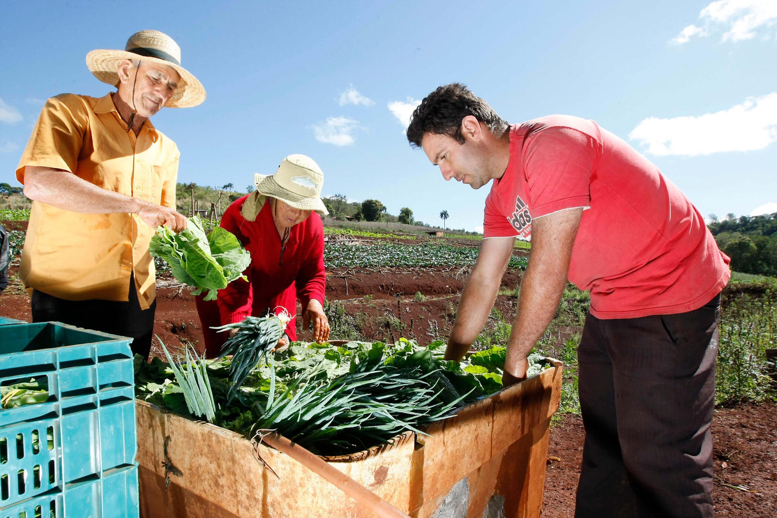 Amapá Impulsiona Sustentabilidade e Desenvolvimento: Agricultores Familiares Reconhecidos e Novas Iniciativas em Andamento