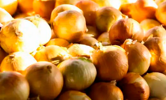 Inflação no Prato? Preços de Hortaliças Recuam em Setembro, Aponta Conab