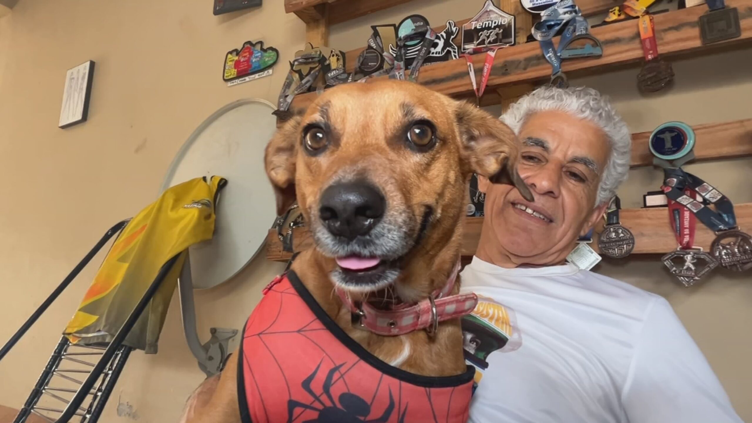 ‘Autleta’: cachorra vira dupla de corredor de 61 anos em provas no interior de SP