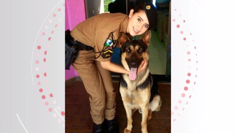 Cão policial é eutanasiado após enfrentar câncer no PR