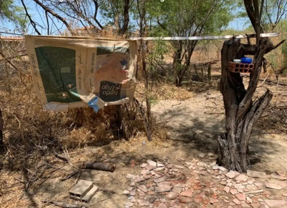 Rio Grande do Norte Expõe Empregadores na ‘Lista Suja’ do Trabalho Escravo; 4 Nomes Figuram na Atualização