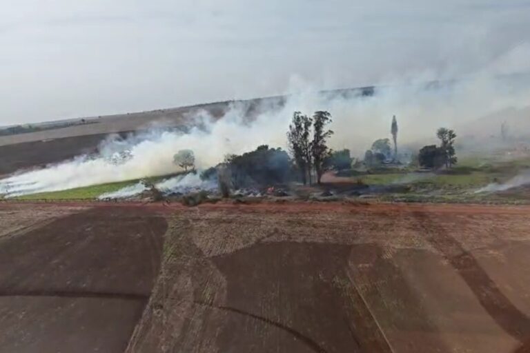 Indígenas queimam maquinários durante ocupação em fazenda de MS