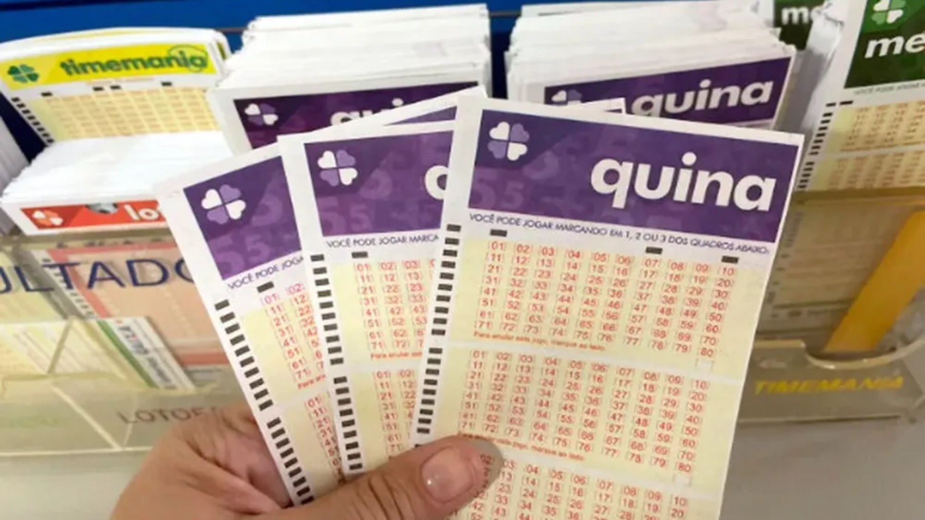 Aposta em Campo Grande garante prêmio de R$ 66 mil na Quina