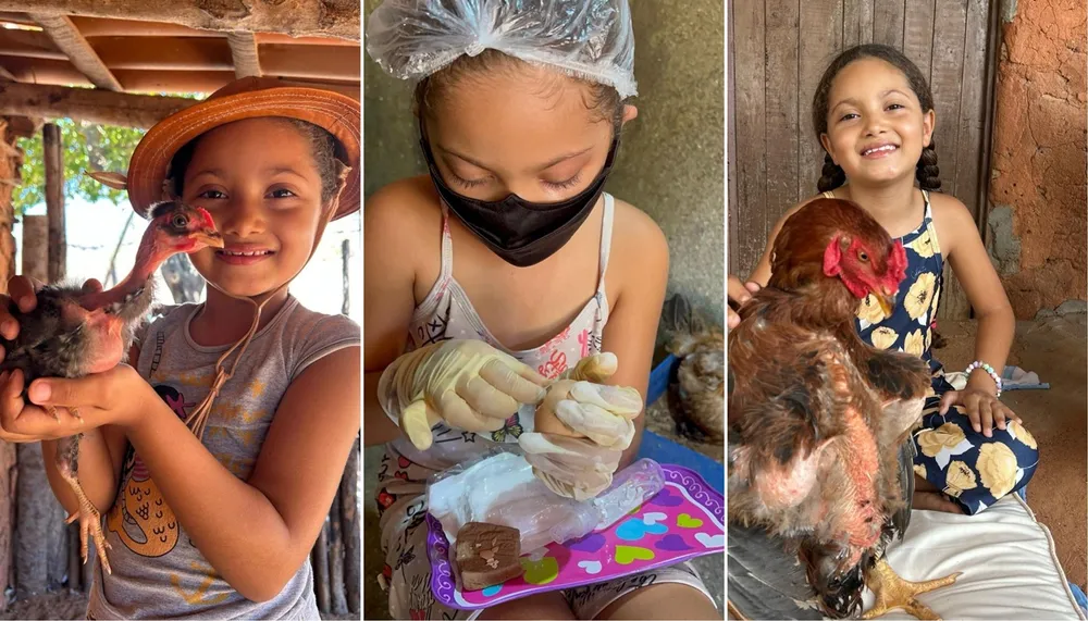 Ajudante Mirim: Menina de 7 Anos Viraliza ao Facilitar Nascimento de Pintinhos no RN